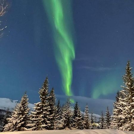 Small Cozy Apartment Tromso Luaran gambar