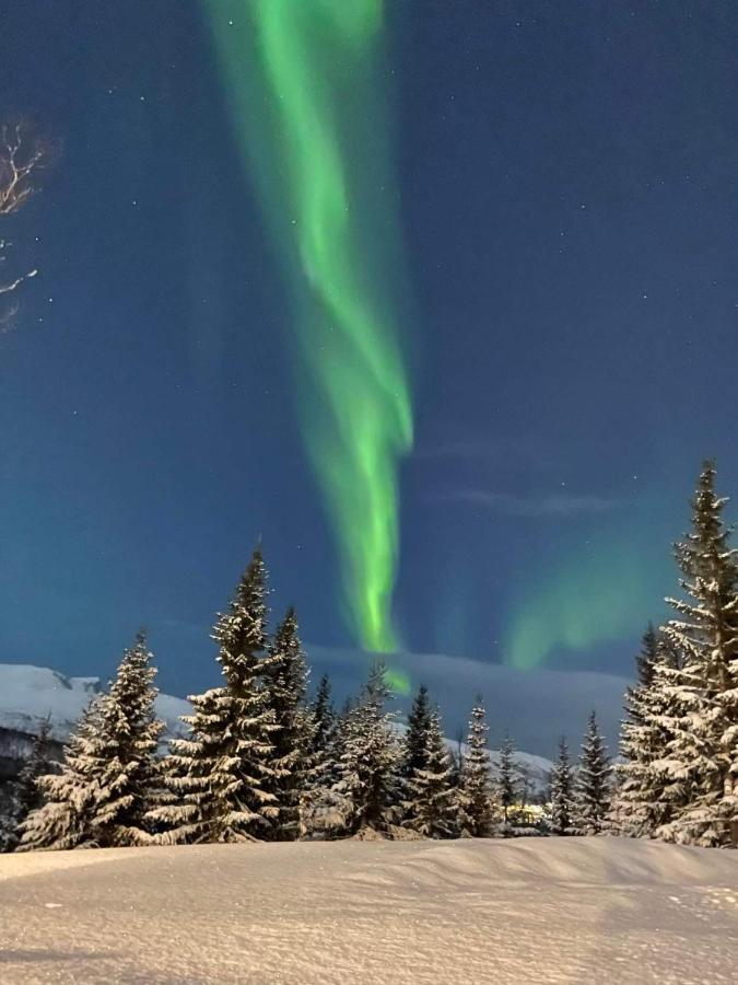 Small Cozy Apartment Tromso Luaran gambar